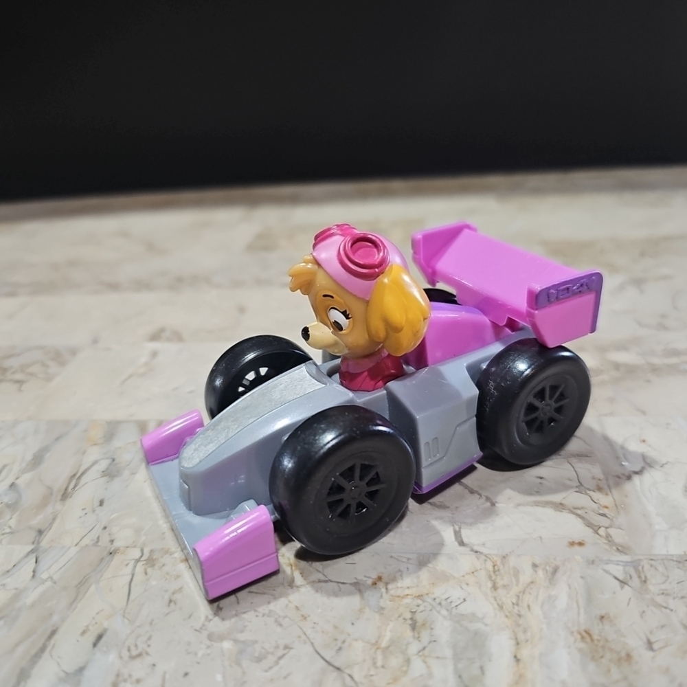Paw Patrol Skye Pink F1 Formula One Race Car Toy Vehicle w/ Attached Figure Rare